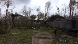 The El Yunque Puerto Rican parrot aviary was badly damaged by Hurricane Maria. Photo Courtesy Tom White.